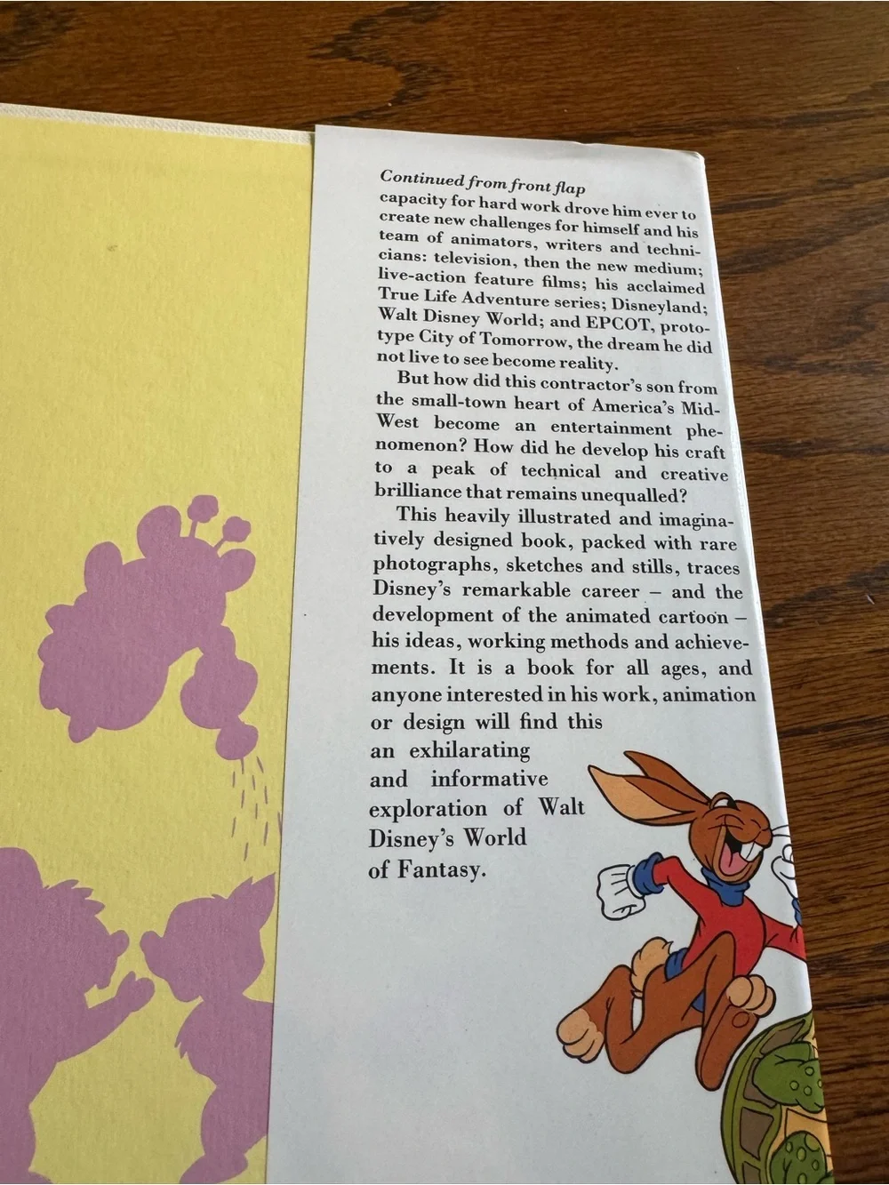 Vintage 1987 Walt Disney's World of Fantasy Hardcover Animation Mickey